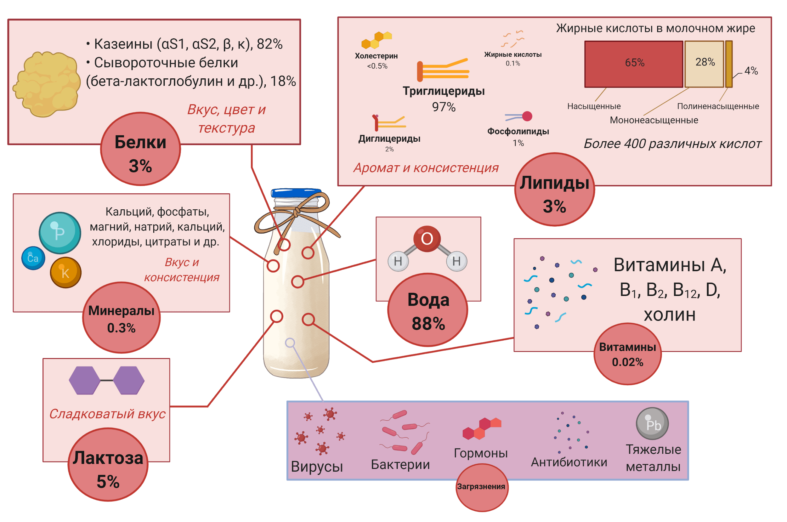 Состав цельного коровьего молока