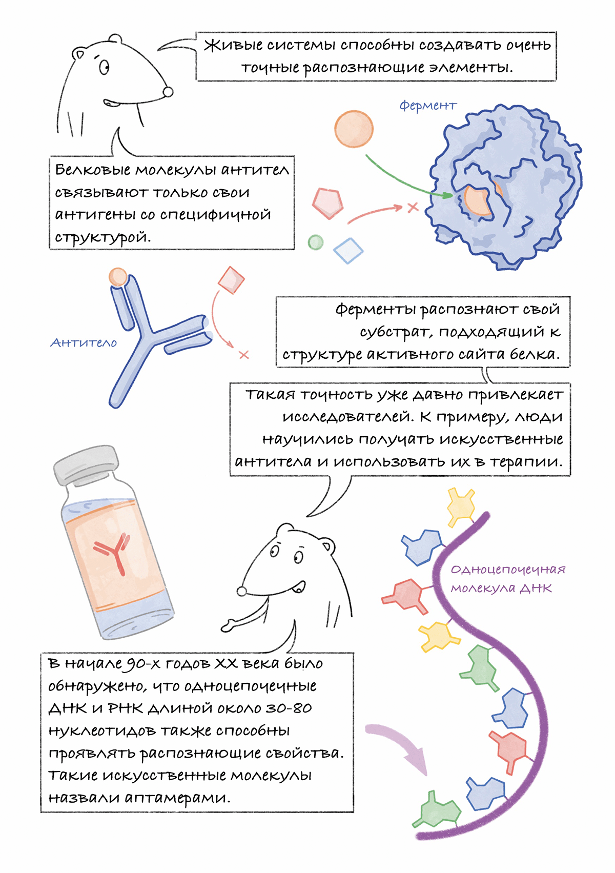 Аптамеры: графический гайд