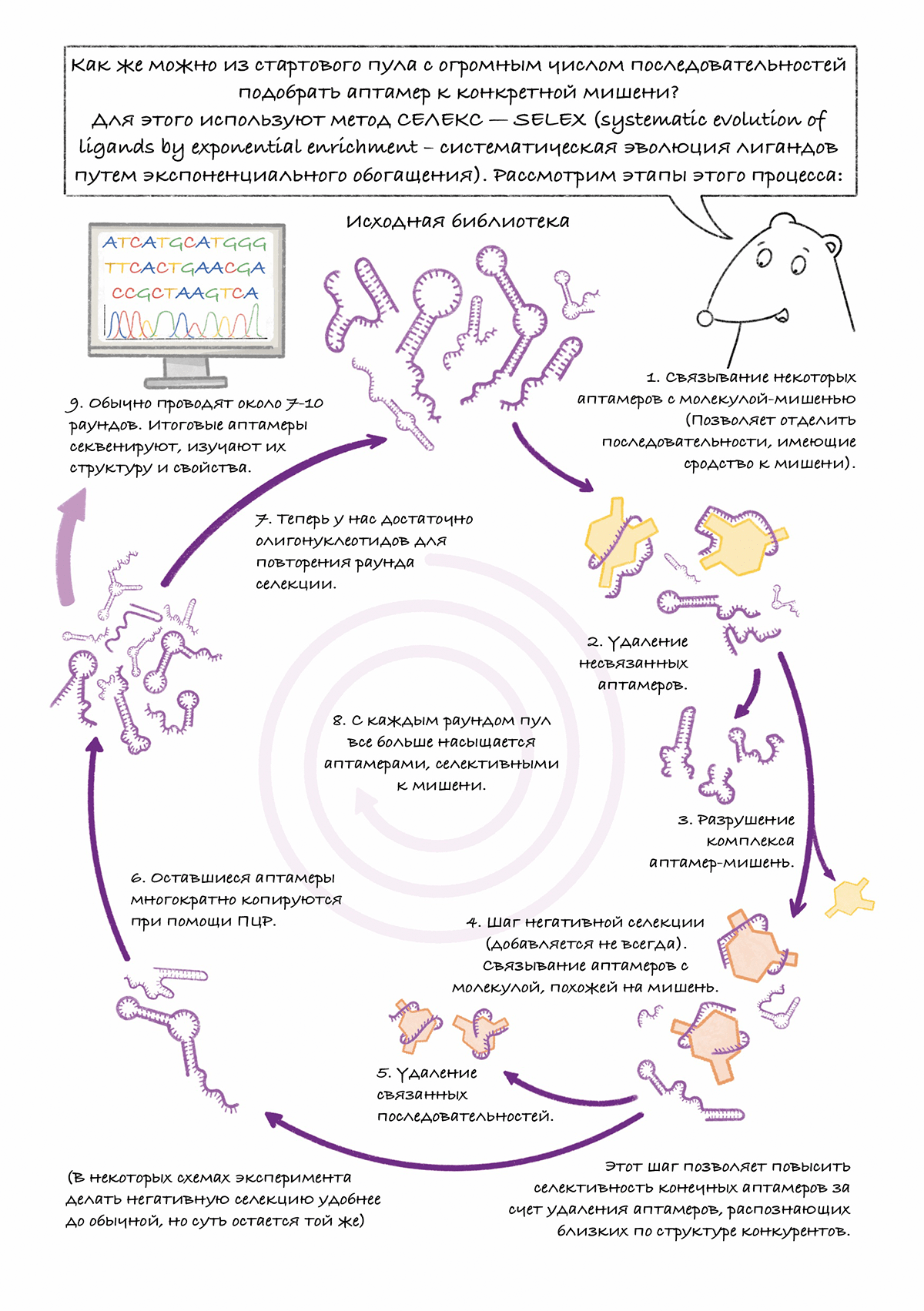 Аптамеры: графический гайд