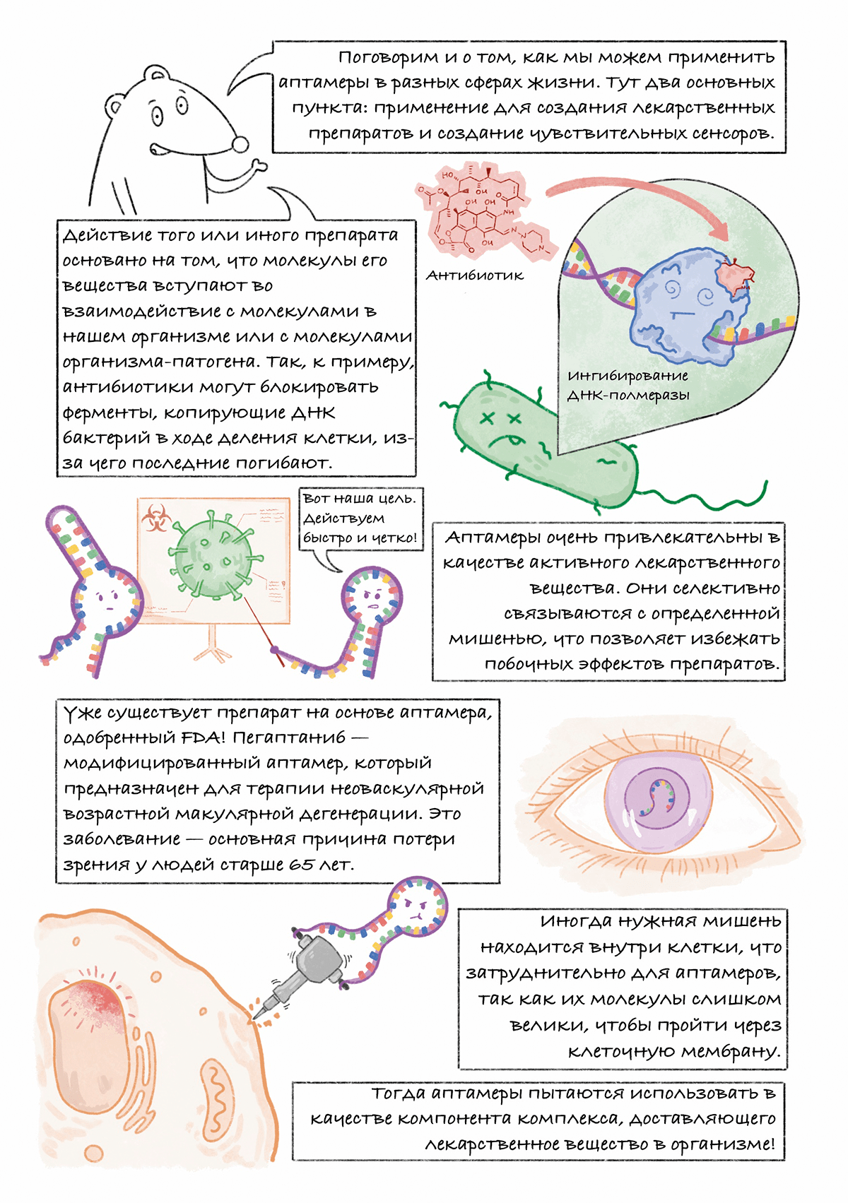 Аптамеры: графический гайд