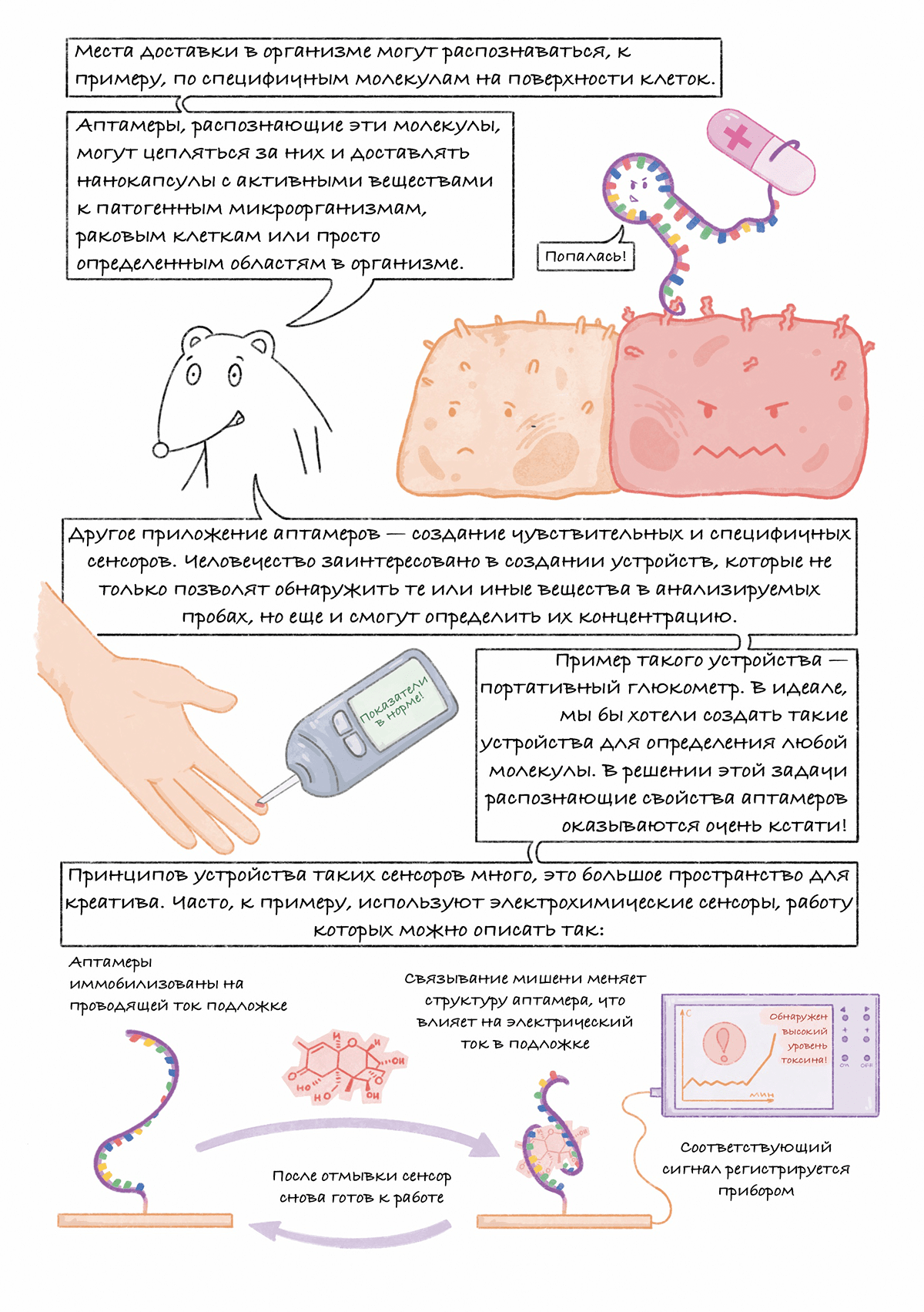 Аптамеры: графический гайд