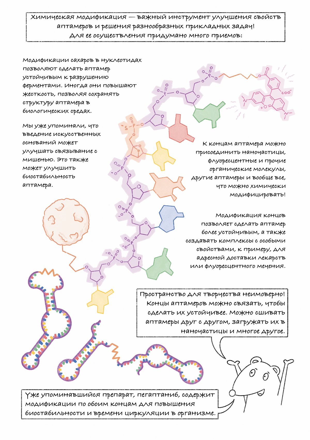 Аптамеры: графический гайд