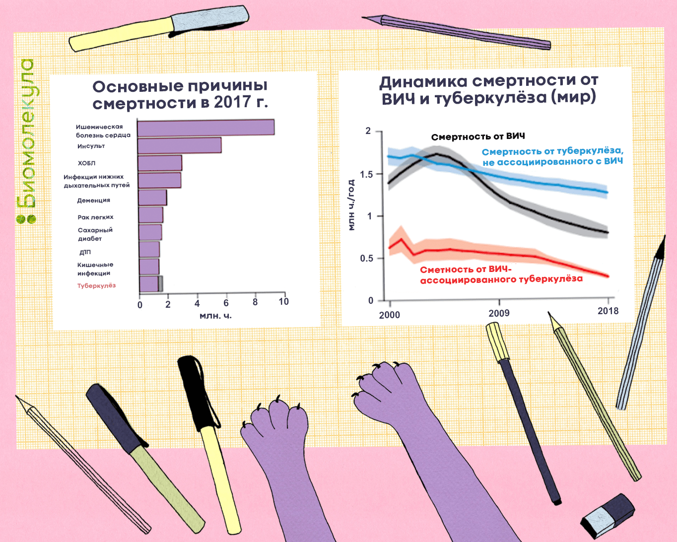 Смертность, связанная с туберкулезом