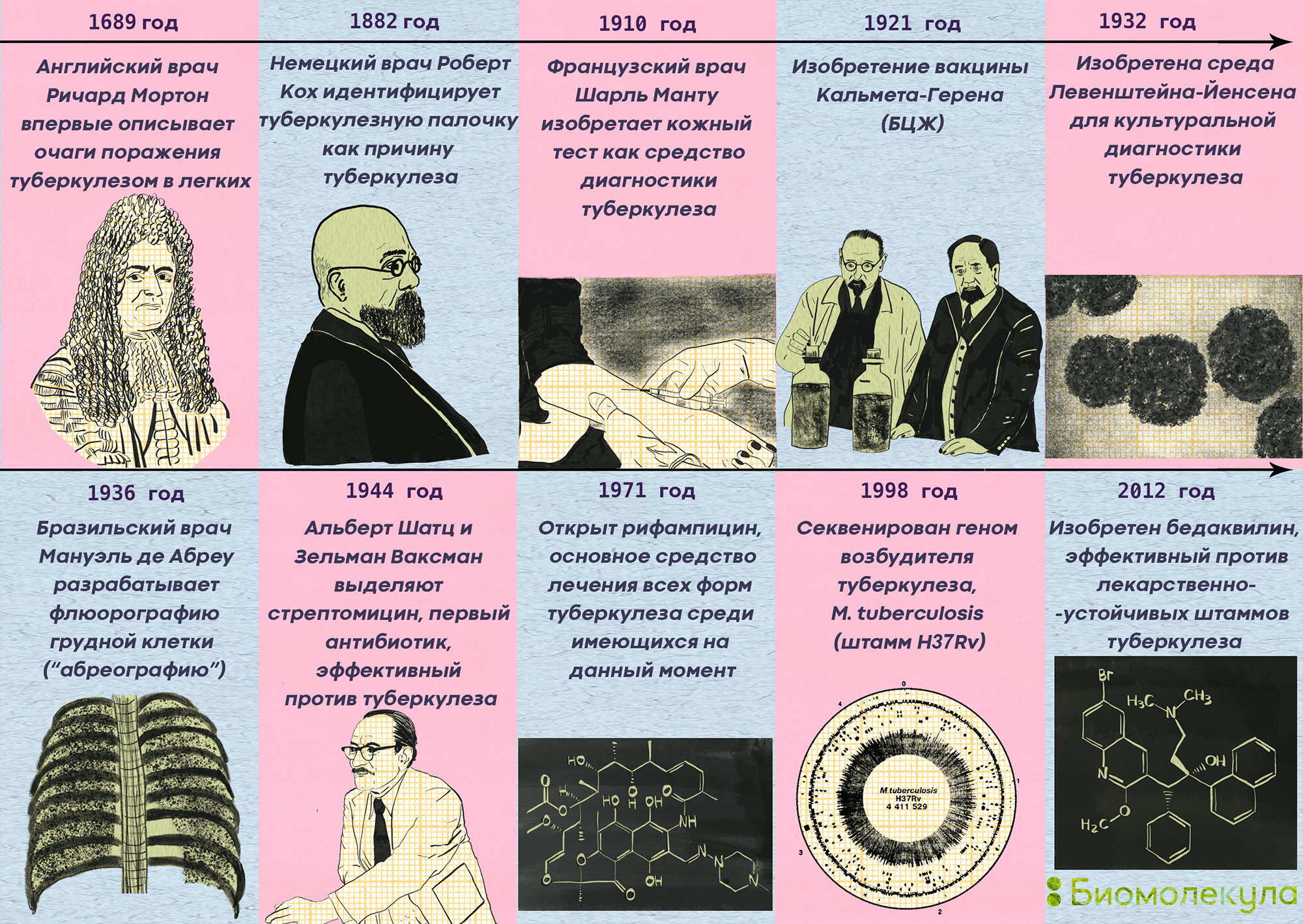 История исследования туберкулеза