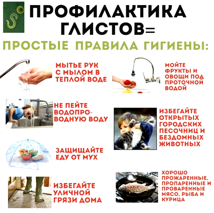 Меры профилактики