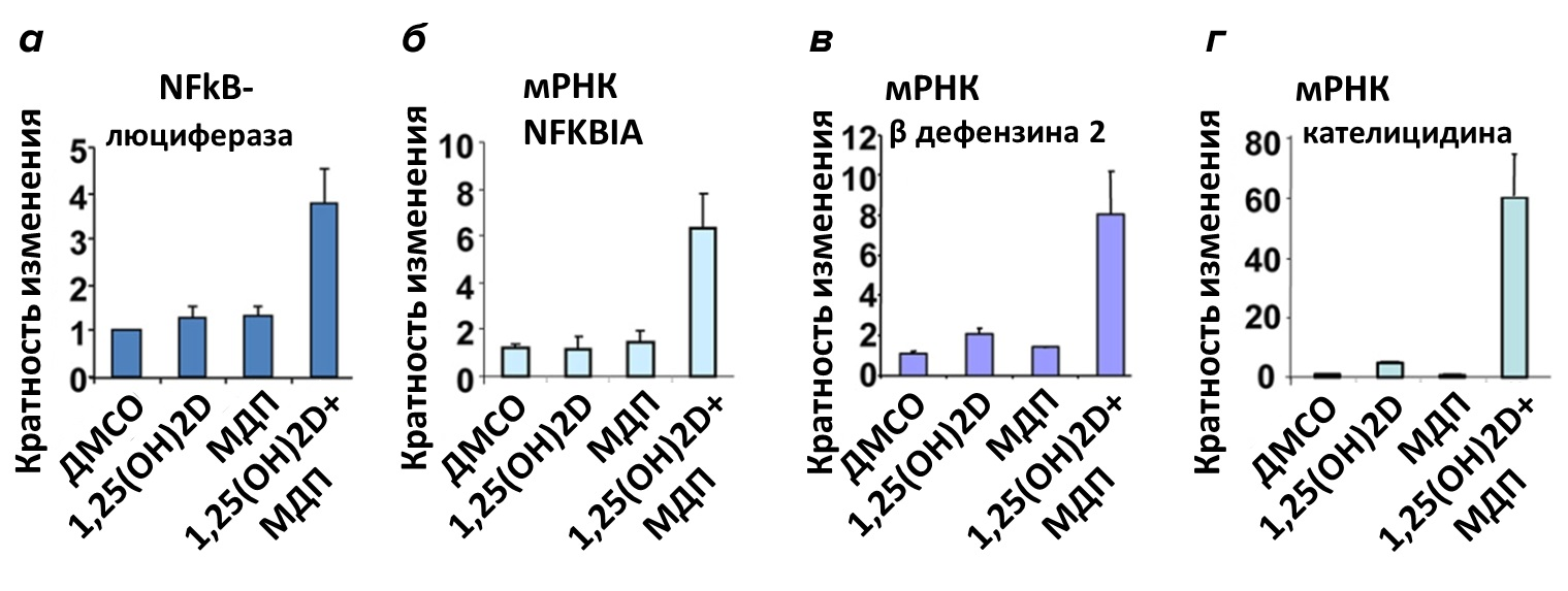 Индукция экспрессии антимикробных пептидов