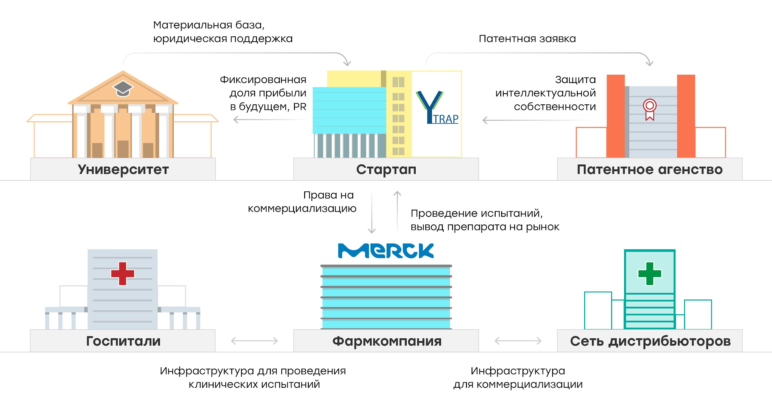 Коммерциализация биспецифических антител