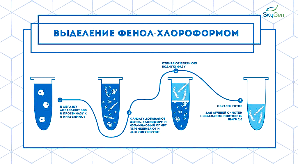 Выделение нуклеиновых кислот фенол-хлороформом