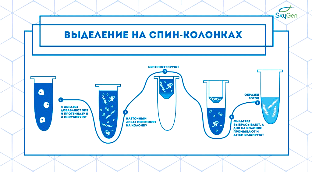 Выделение нуклеиновых кислот на спин-колонках