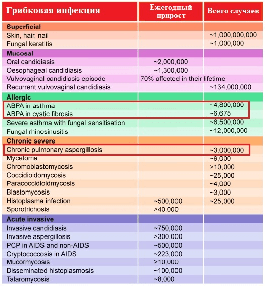 Зарегистрированные случаи микоинфекций