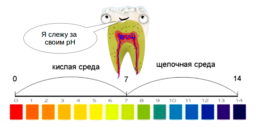 Для зубов очень важен показатель рН