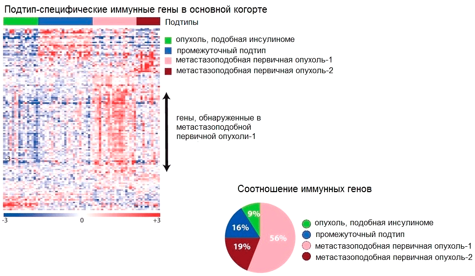 Тепловая карта, отображающая уровни экспрессии «иммунных» генов