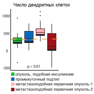 Количество дендритных клеток в четырех различных молекулярных подтипах нейроэндокринных опухолей поджелудочной железы