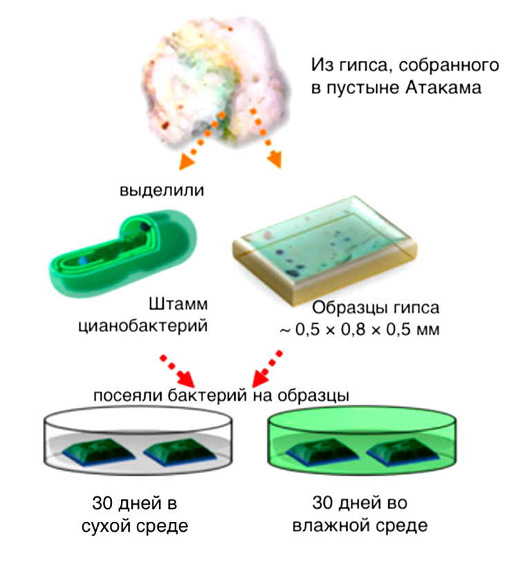 Схема и результаты эксперимента