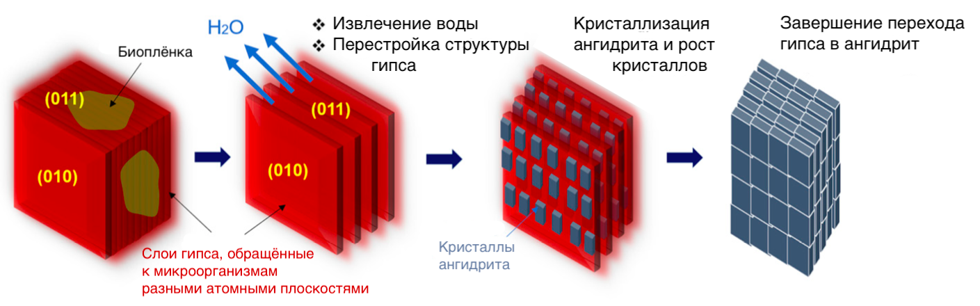 Процесс перехода кристаллов гипса в кристаллы ангидрита