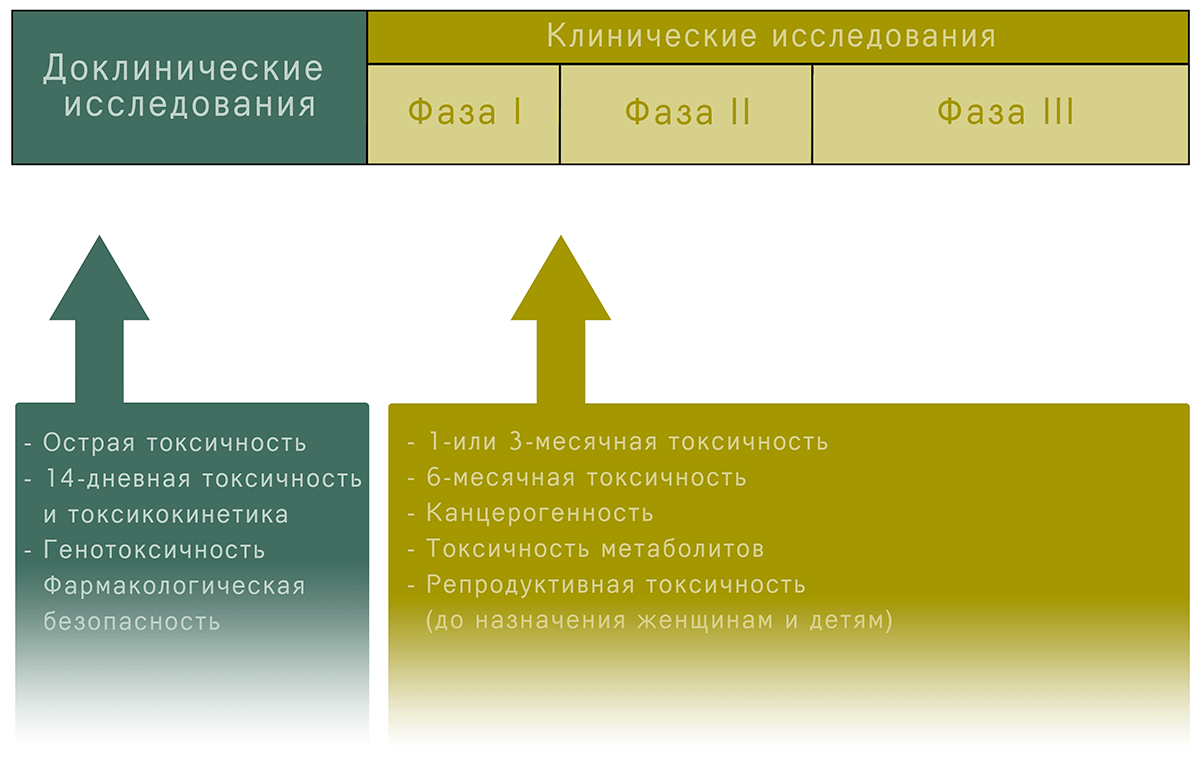 Оценка безопасности препарата