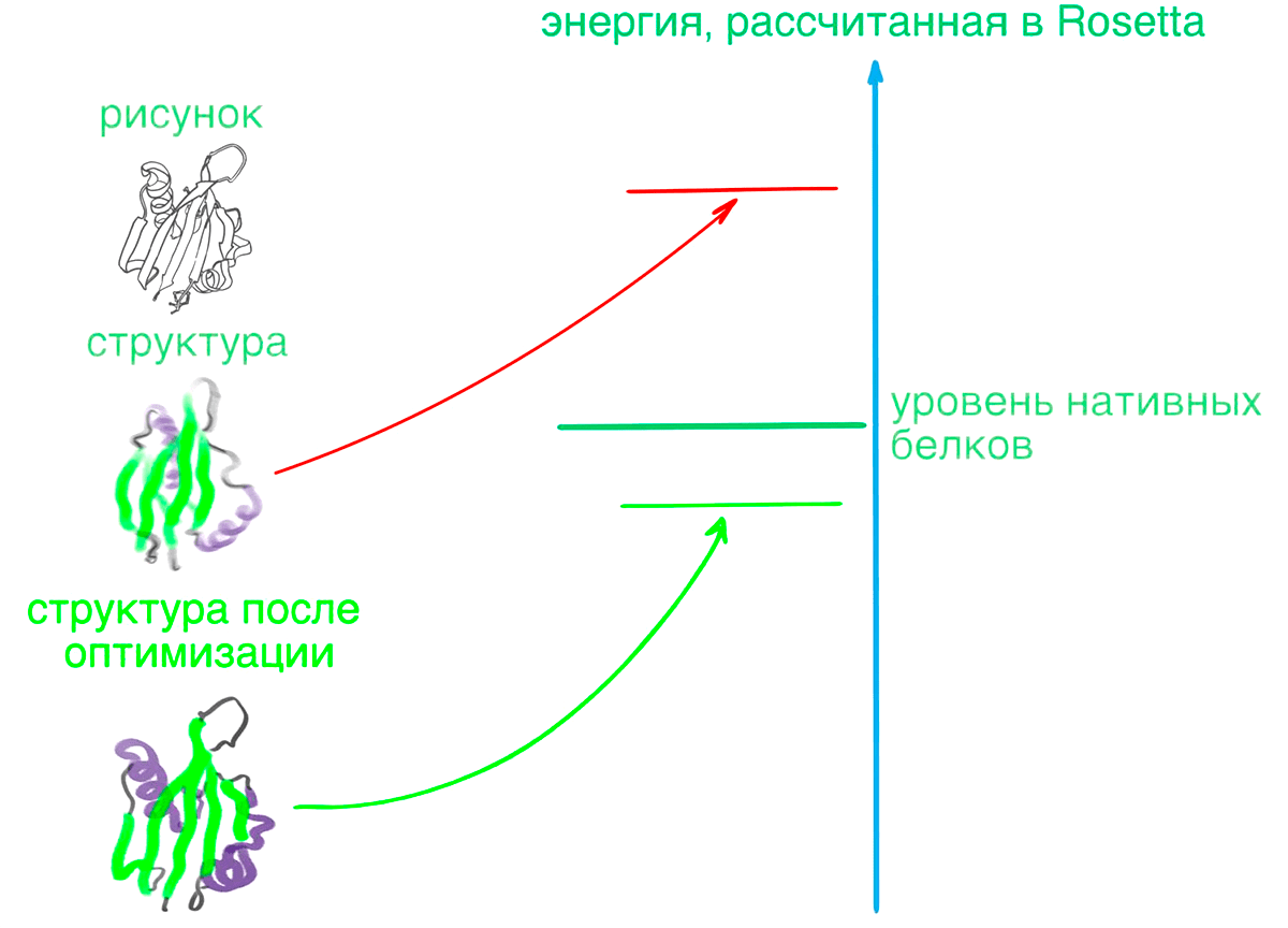 Дизайн нового белка