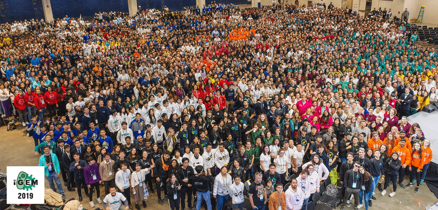 Участники iGEM 2019 года