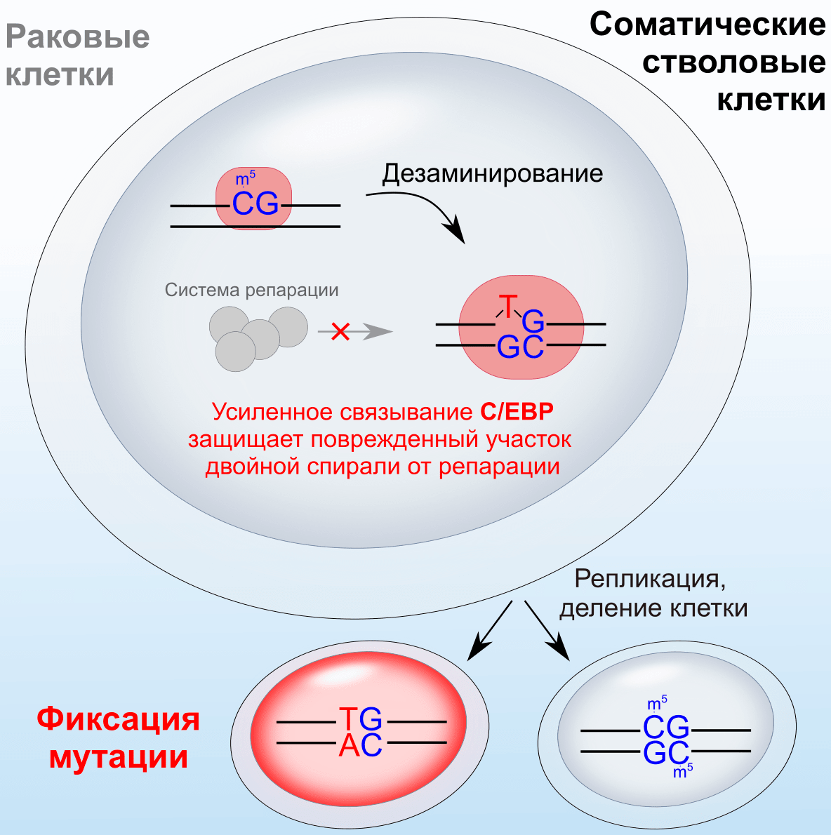 Краткое визуальное описание результата исследования