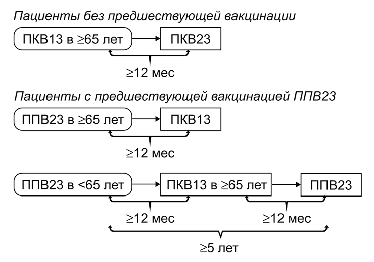 Рекомендации по вакцинации людей старшего возраста против пневмококка