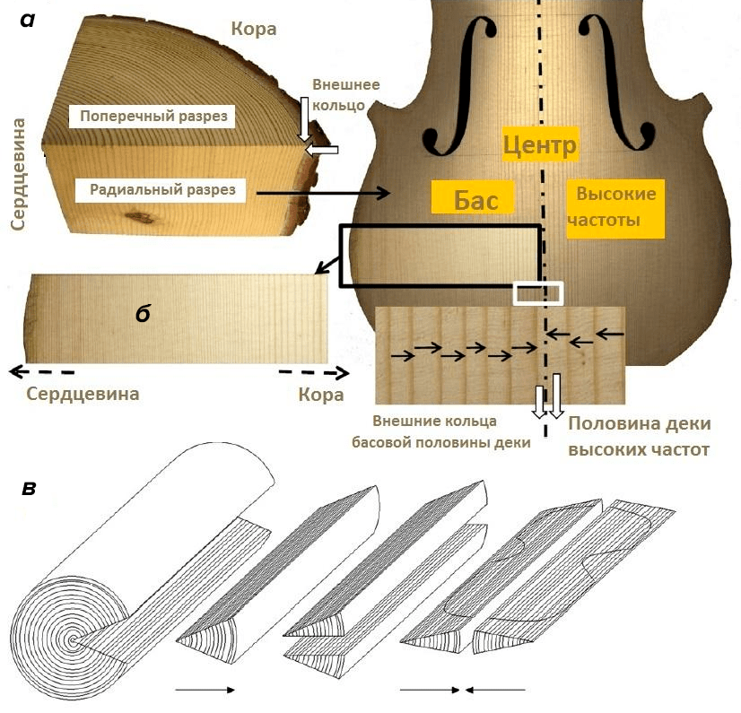 Технология изготовления скрипичной деки