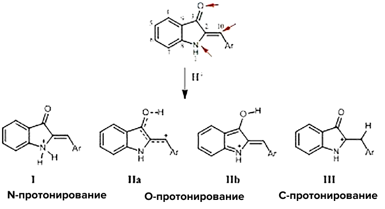 Строение типичного гемииндигоида