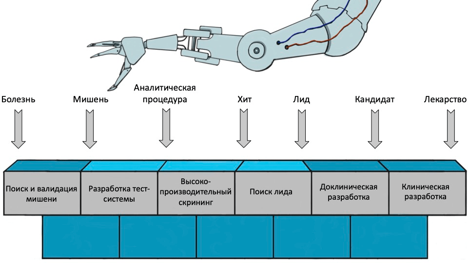 Упрощенная схема ранней разработки лекарства