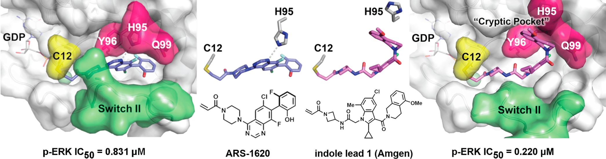 Ингибиторы Шоката (ARS 853) и Amgen