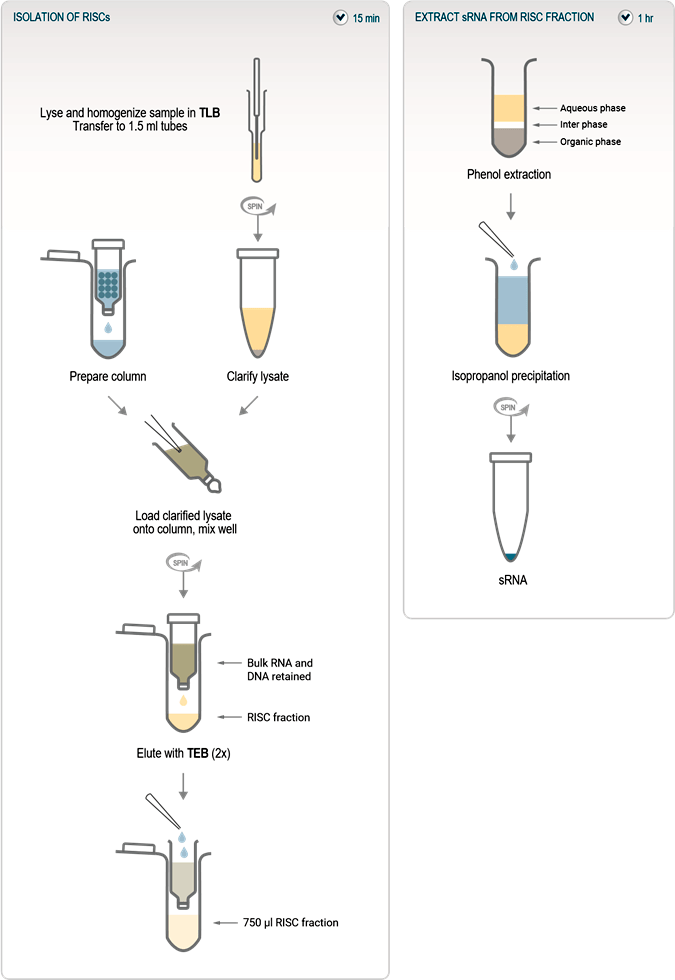 TraPR sRNA Isolation Kit