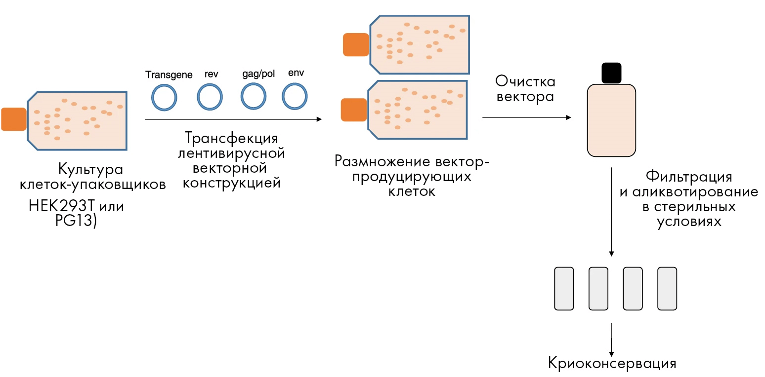 Основные этапы продукции вирусных векторов на современном производстве