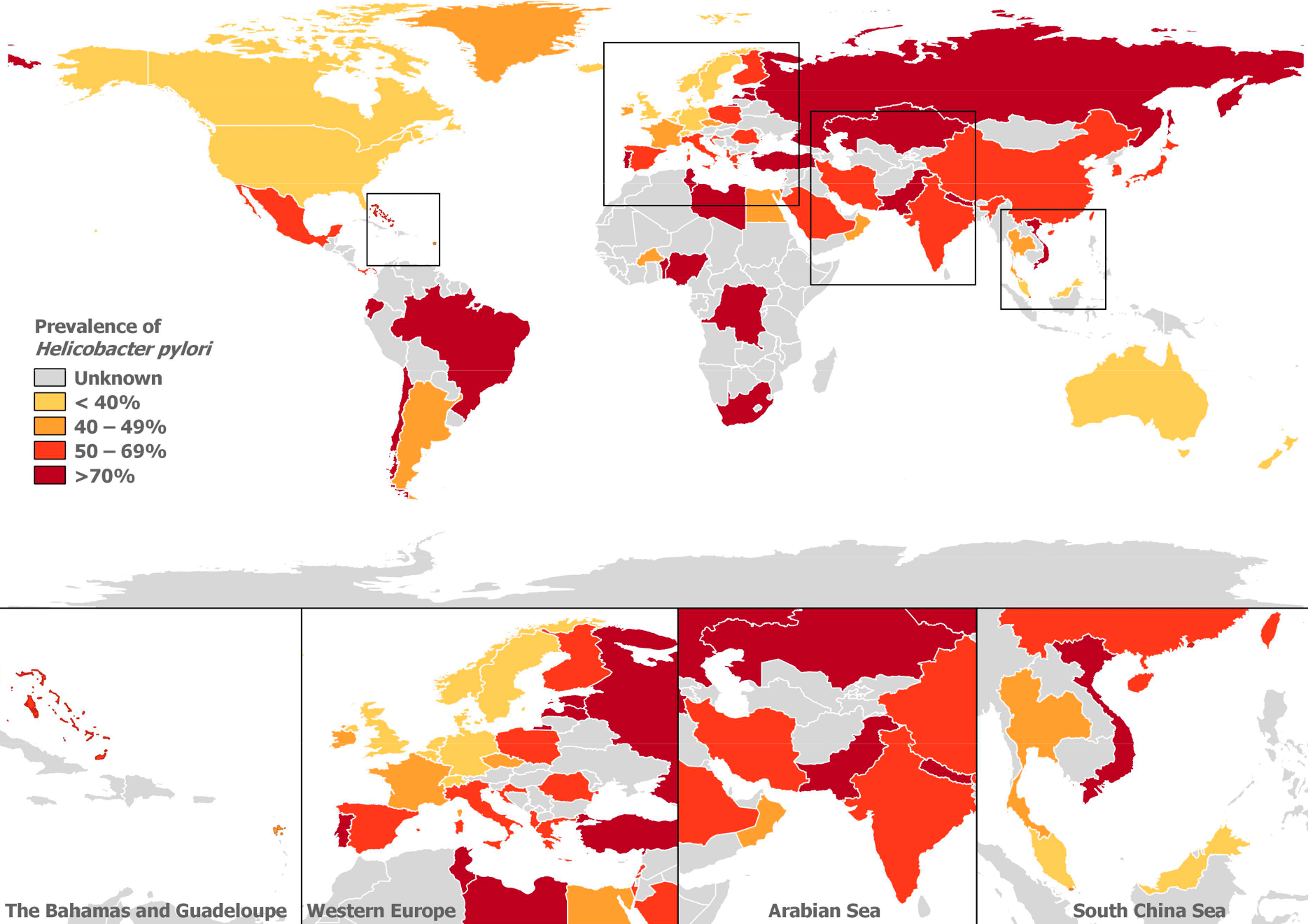 Распространенность инфицирования H. pylori