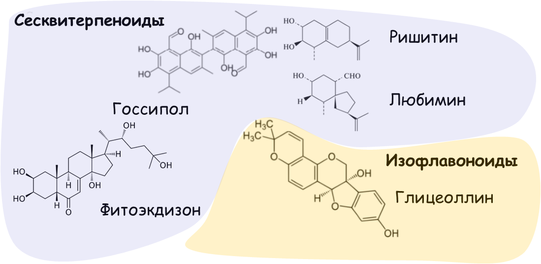 Широко известные фитоалексины