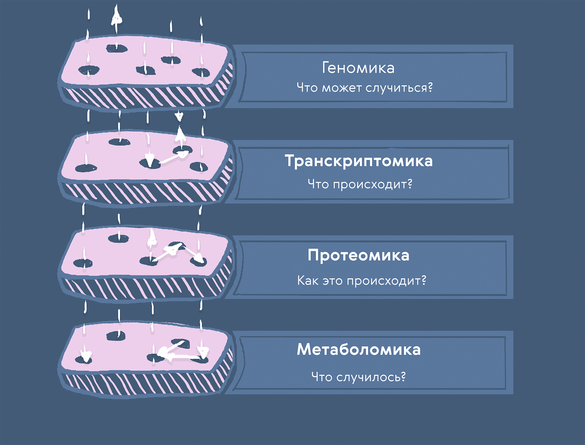 Цели мультиомиксных данных по уровням