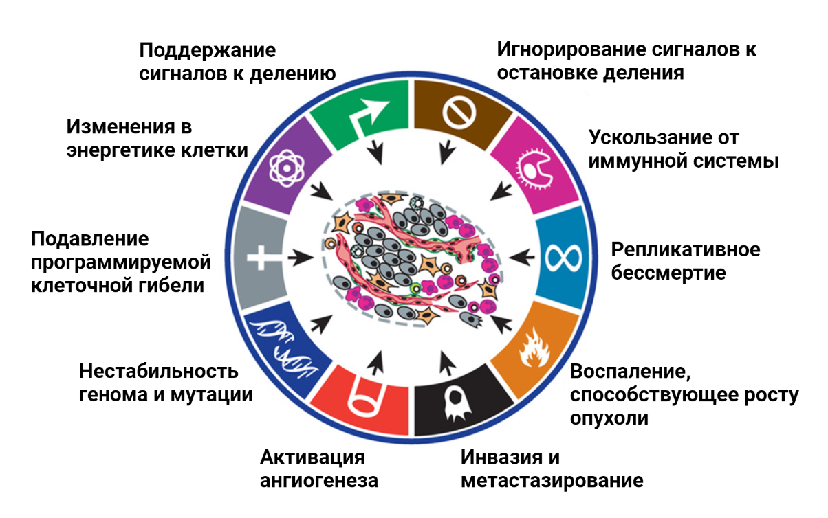 Особенности опухолевых клеток