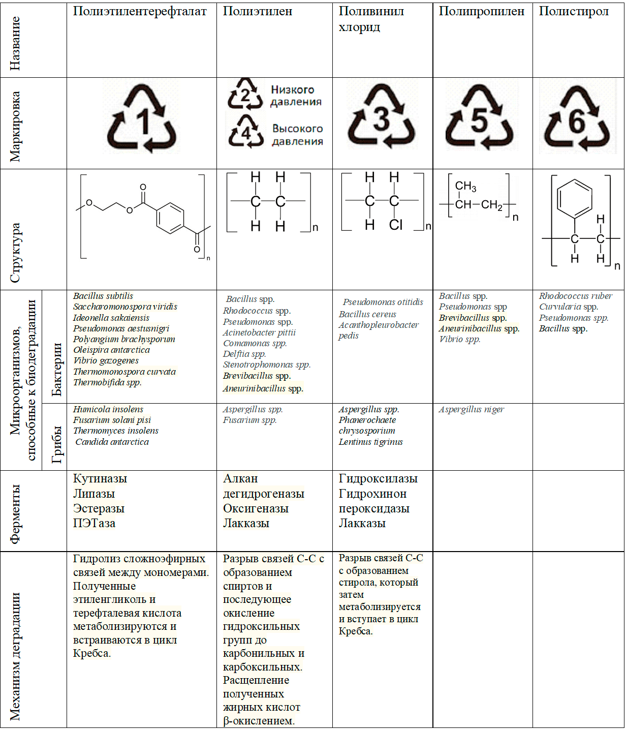 Основные синтетические полимеры и их биодеградация