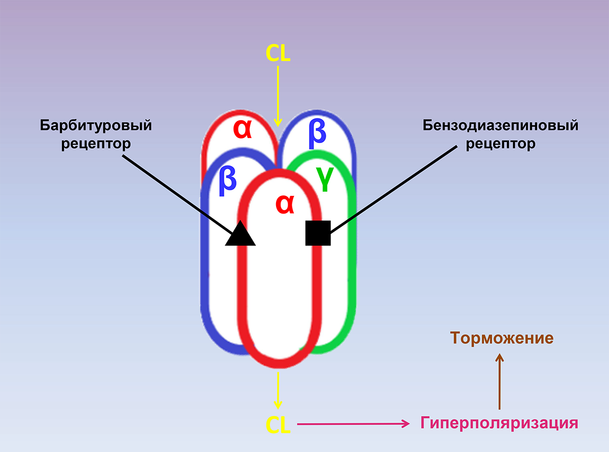 ГАМКa-рецептор