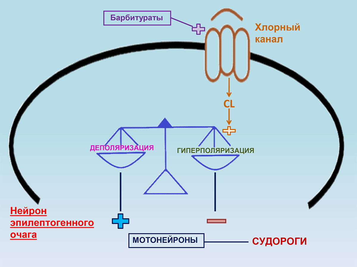 Действие барбитуратов на нейрон эпилептогенного очага