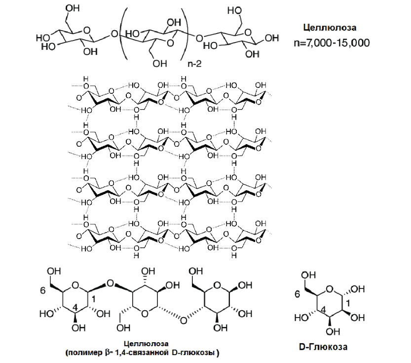 Структура целлюлозы