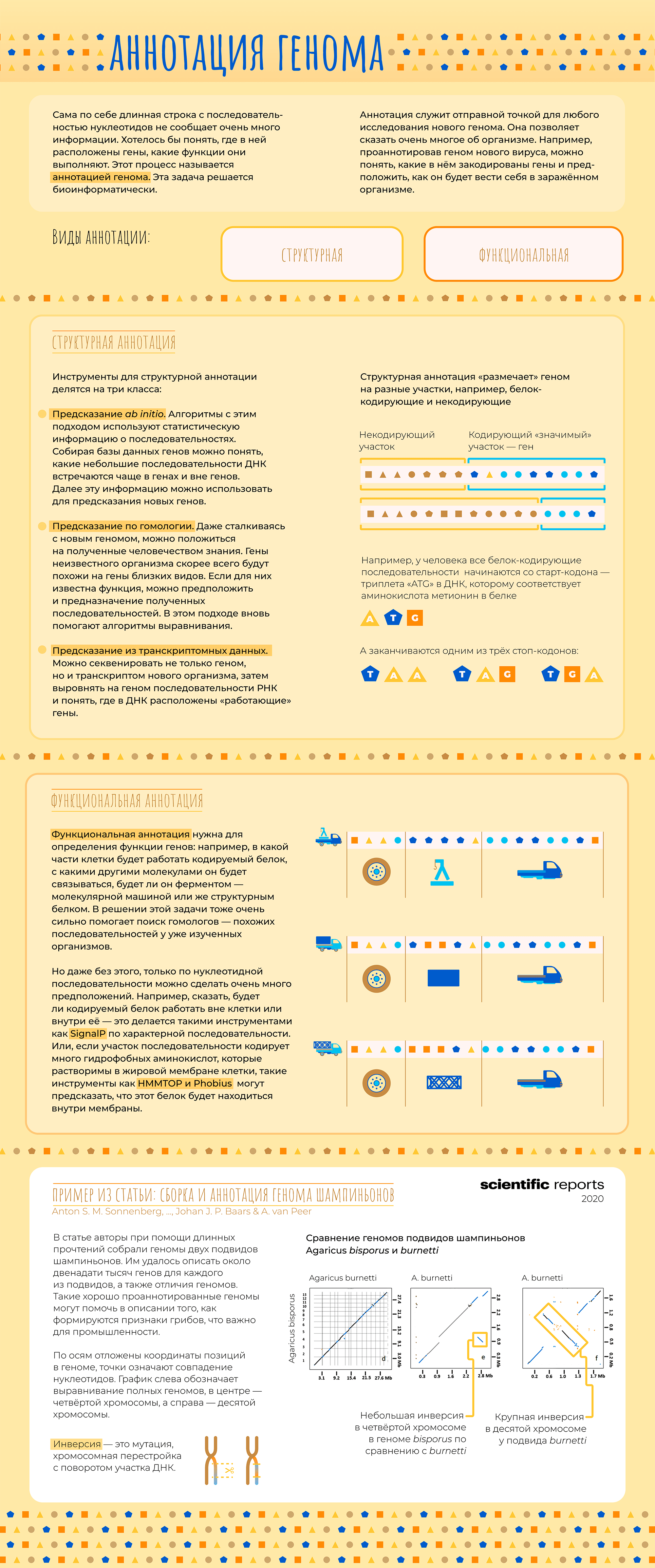 Автостопом по биоинформатике