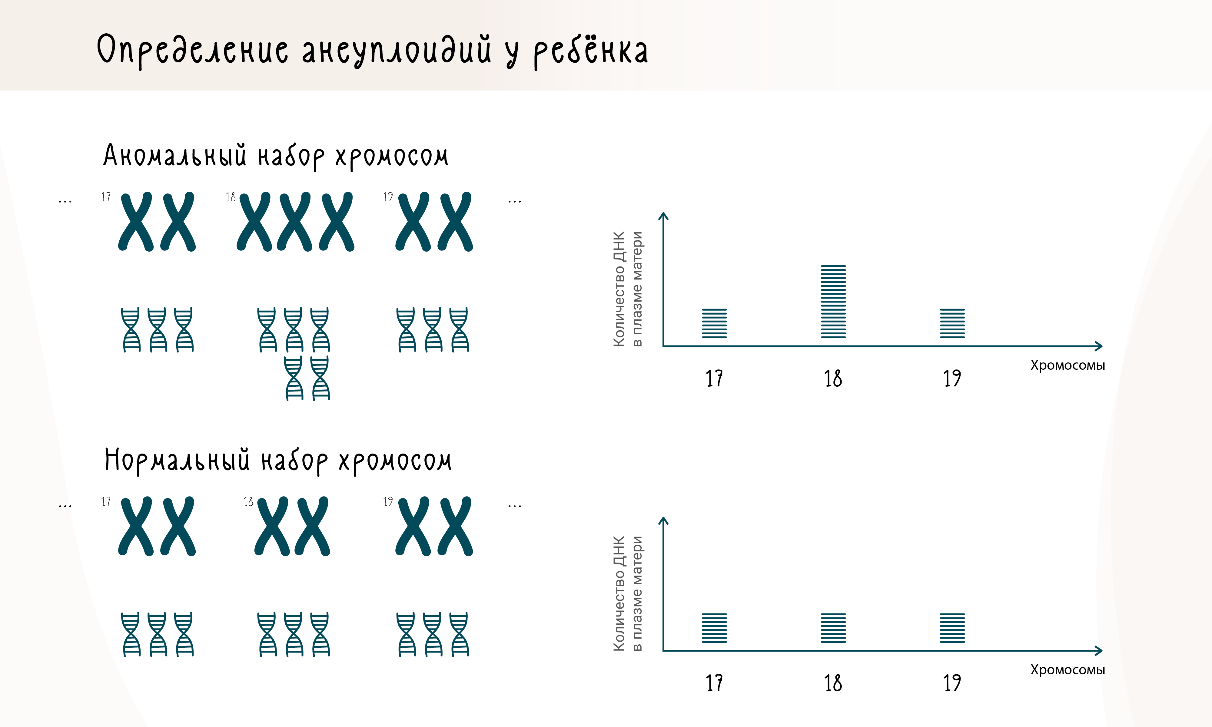 Выявление анеуплоидий у плода