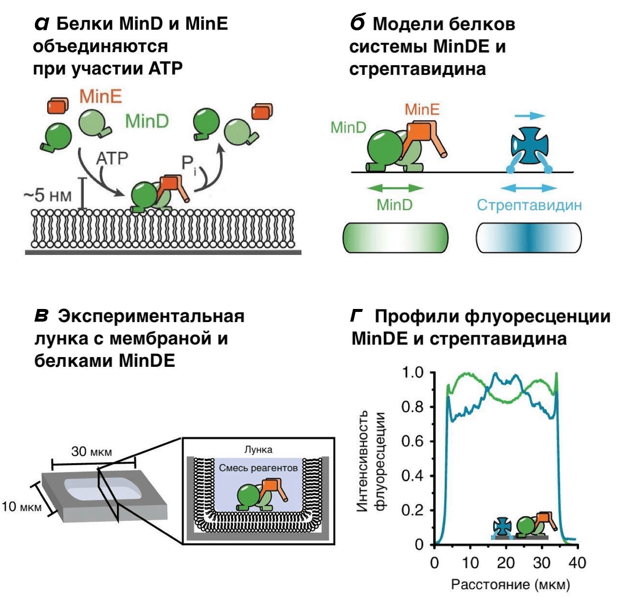 Работа системы MinDE и эксперименты с ней