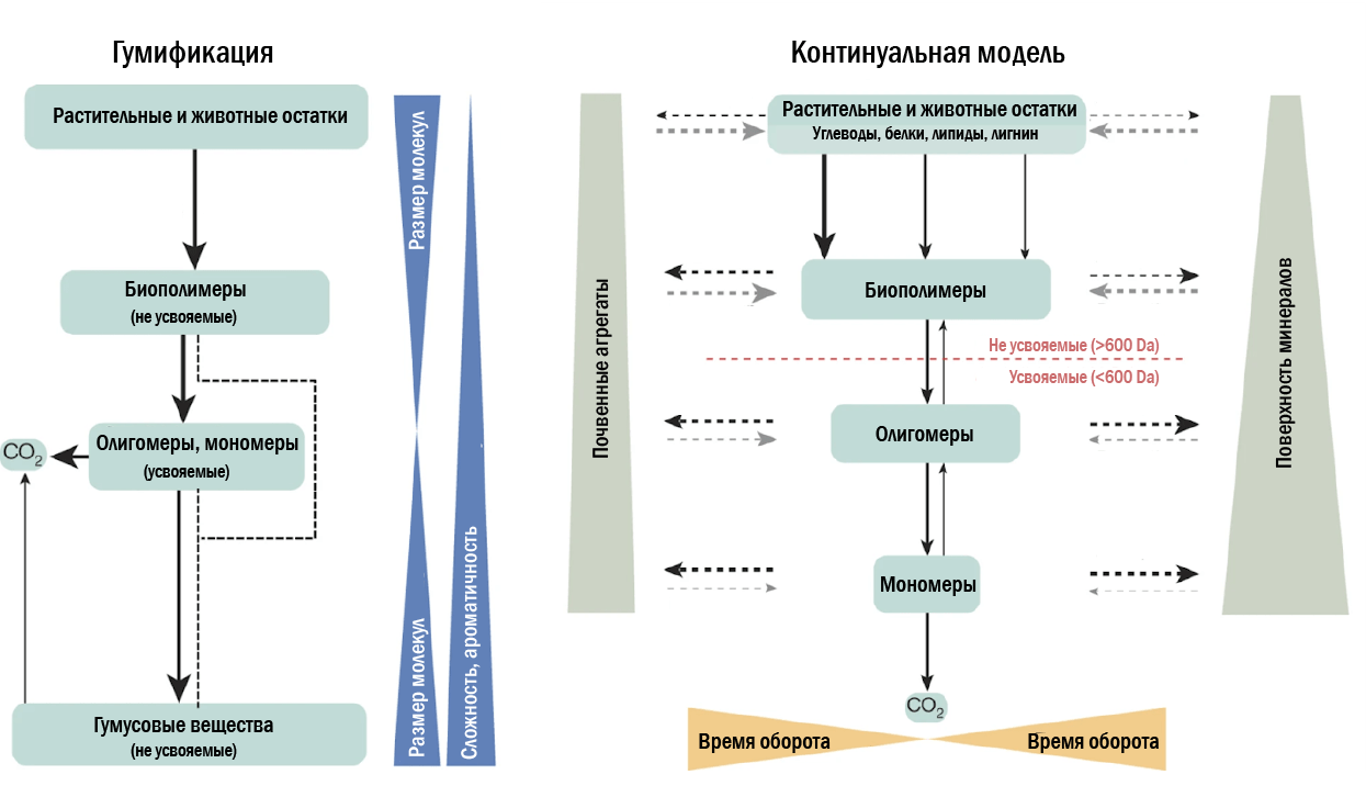 Традиционная теория гумификации