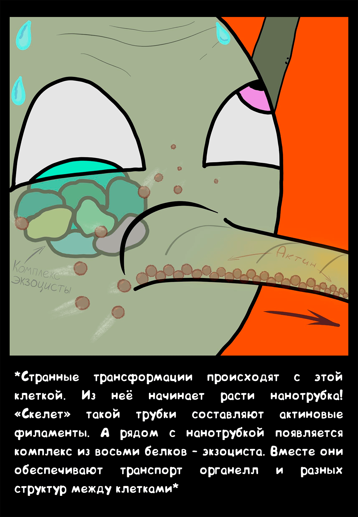 Ужасы в раковом замке