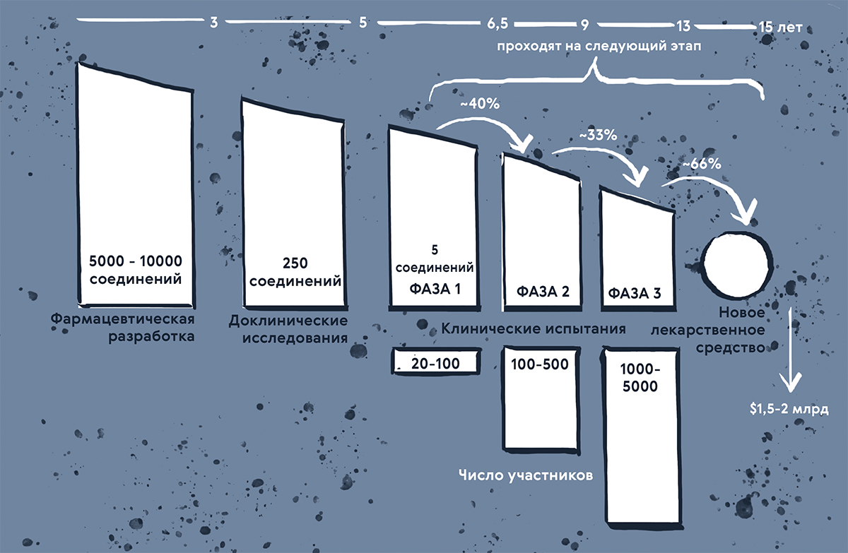 Какой путь проходит потенциальная лекарственная молекула