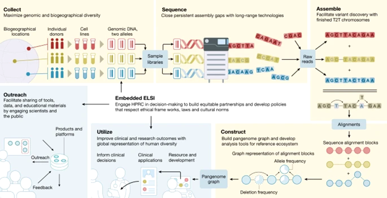 The Human Pangenome Project