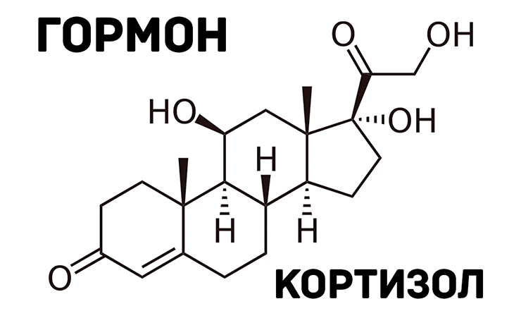 Структура кортизола