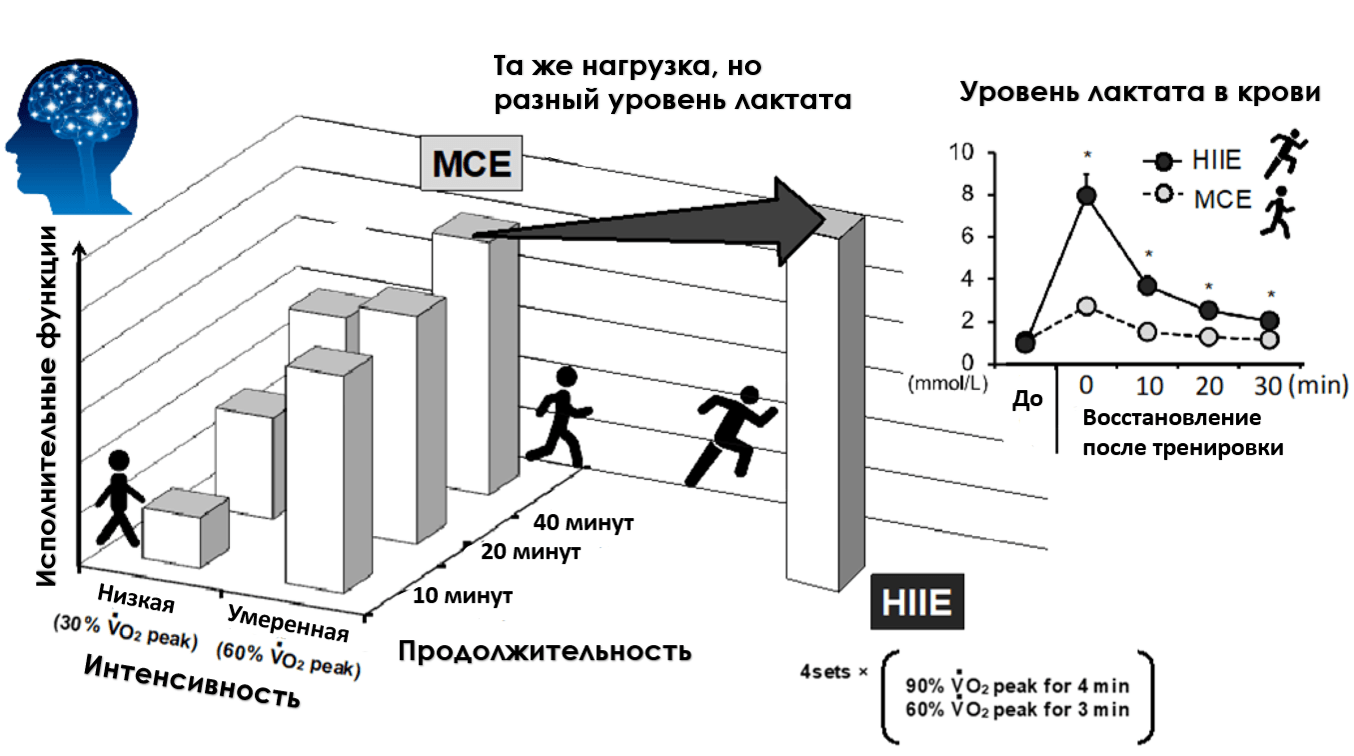 Влияние упражнений на усиление исполнительной функции