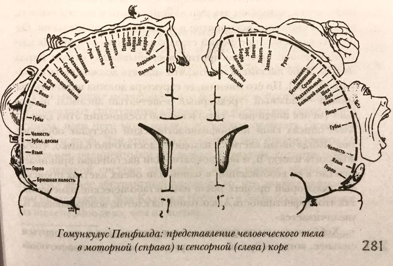 Иллюстрация к книге