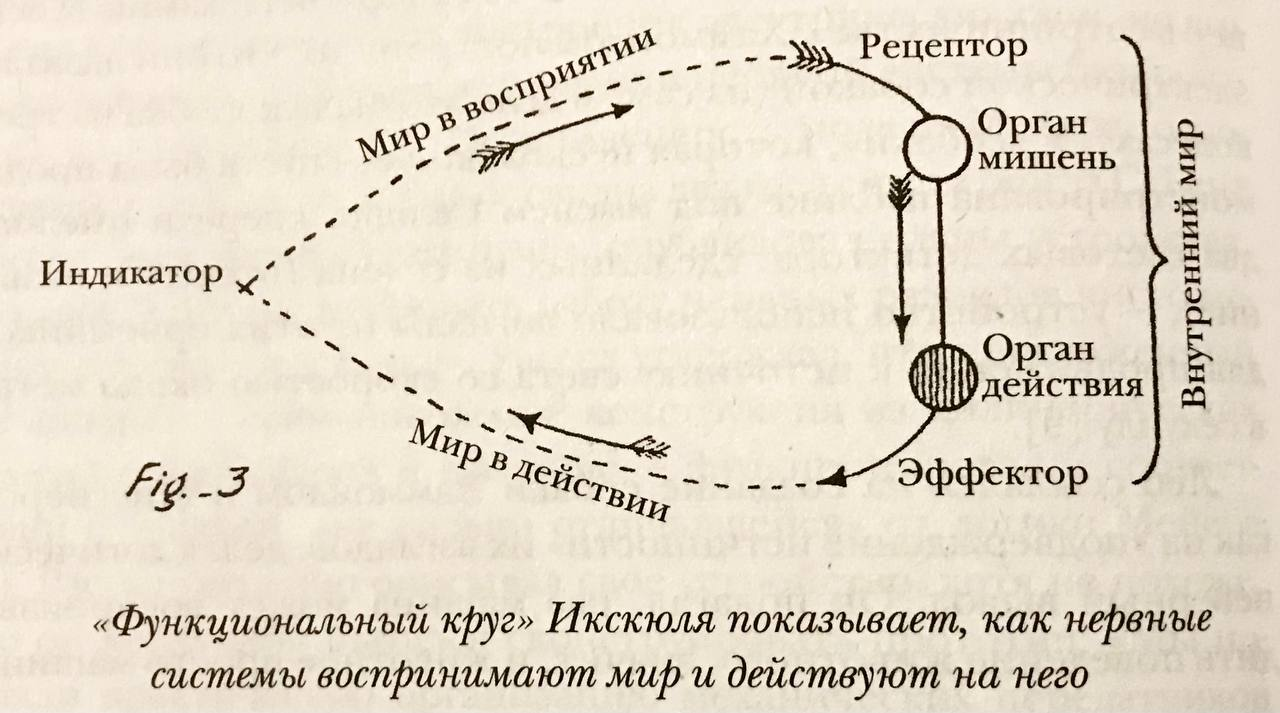 Иллюстрация к книге