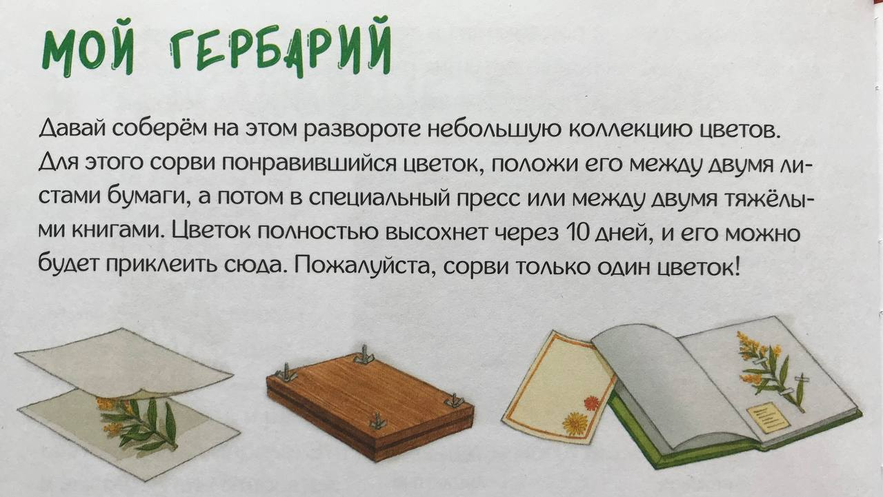 Иллюстрация к книге